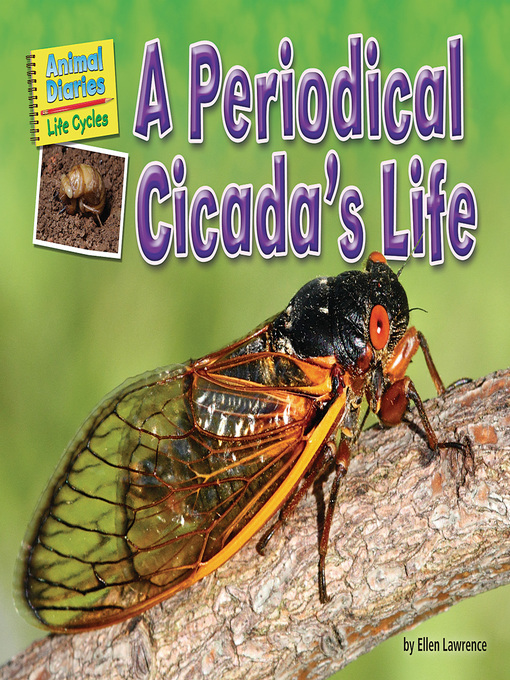 Title details for A Periodical Cicada's Life by Ellen Lawrence - Available